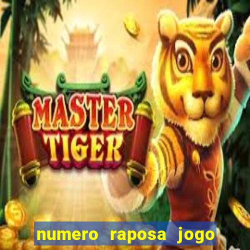 numero raposa jogo do bicho